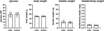 A comparison of urinary bladder weight in male and female mice across five models of diabetes and obesity